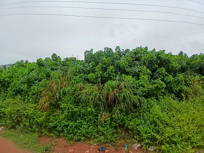 Residential Plots of Land — Fortune City, Ologuneru, Ibadan, Oyo