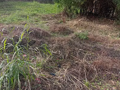 Residential Land Plot — Peace Estate, Soluyi, Gbagada, Lagos