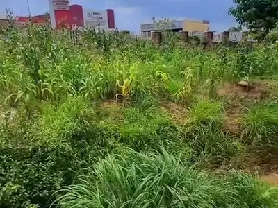 1747 Square Meters JV Plot in a Good Location — Mbora (Nbora), Abuja