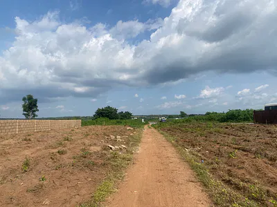 1000SQM Premium Land Investment Opportunity with C of O — Lekki Avana Signature Resort Palm Estate, Eleranigbe, Lekki-Epe, Ibeju Lekki, Lagos