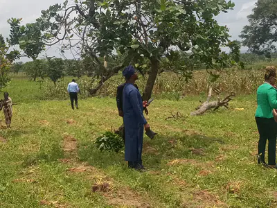 Land — Idu Road, Dei-Dei, Abuja