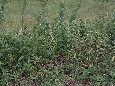 600SQM Land at Secured Estate — Northern Foreshore Estate, Lekki, Lagos