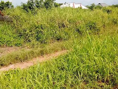 Full Plot of Land — Imota, Ikorodu, Lagos
