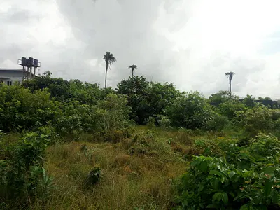 3800SQM Commercial Land — Glover Road by Thompson Avenue Corner Piece., Ikoyi, Lagos
