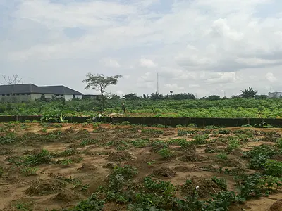 58 Plots Commercial Land with C of O — Near Intels, Port Harcourt, Rivers