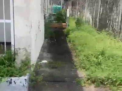 3 Bedroom Detached Bungalow — Off Adeniran Ogunsanya, Surulere, Lagos