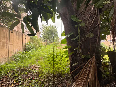 Residential Land in a Secured Environment — Ilupeju, Lagos