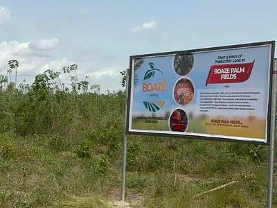 Farm Land with Palm Trees — Odogbolu, Ogun