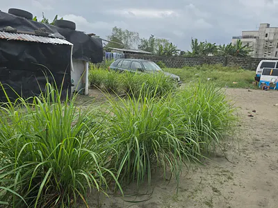 4,000SQM Bareland Directly Facing the Road — Ogombo, Ajah, Lagos