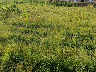 2 Plots of Residential Land — Juth–lamingo Road, Jos South, Plateau