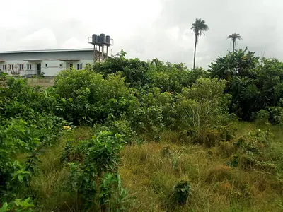 Land Available Facing Express — Lekki, Lagos