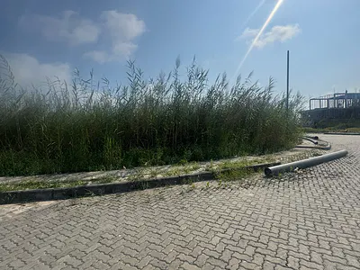 Prime Bare Land Available — Lekki, Lagos