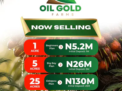 Farm Land That Gives Blend of Agriculture, Innovation, and Real Estate — Odeda Local Government, Abeokuta, Ogun State, Odeda, Ogun