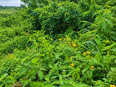 Plot of Land — Epe, Lagos