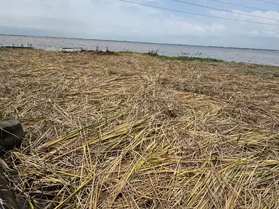 Water Front Land — Greenville Estate, Badore, Ajah, Lagos