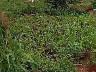 Residential Land — Onitsha, Anambra