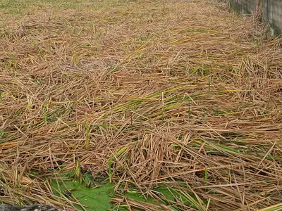 Bare Land of Approximately 600SQM — Lekki, Lagos