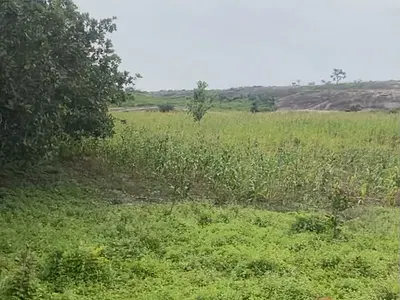 1.2 Hectares Virgin Land — Mpape-Katampe, Mpape, Abuja