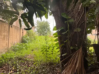 An Empty Land Measuring 777SQM — Ilupeju Estate, Ilupeju, Lagos