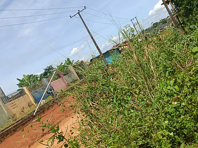 Full Plot of Land Facings Pacific Road the Just Approved 15.7B — Pacific Roads, Ikorodu, Lagos