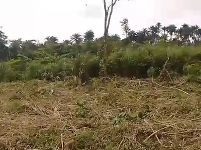 Farm Land — Obafemi Owode, Ogun