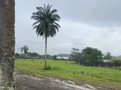 40 Plots of Prime Land — G.U. Ake Road, Eliozu, Port Harcourt, Rivers