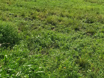 Half Plot of Land at Isheri North GRA Opic — Opic Estate Lagos, Opic, Isheri North, Lagos