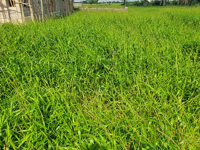 Half Plot of Land at Opic Estate Lagos — Opic Estate Lagos, Opic, Isheri North, Lagos