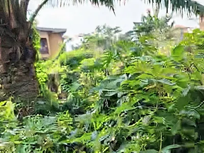 Golden Plots of Land — Emene, Enugu, Enugu, Enugu