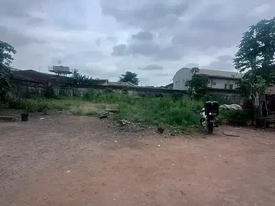 A Fenced and Gated Land Measuring 1,300SQM — Ilupeju Estate, Ilupeju, Lagos