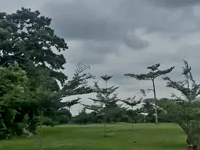 100 Acres of Land — Off Sagamu/Benin Expressway, Sagamu, Ogun