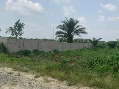 1300SQM Fenced and Gated Plot in a Secure Area (100% Verified) — Ilupeju, Lagos