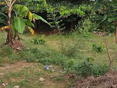 Land — Nwawolor, Asaba, Delta