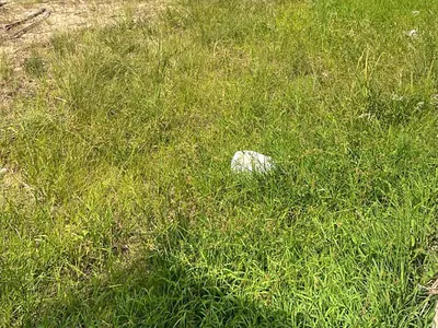 110 Acres of Land with C of O — Along Sagamu- Ijebu Ode Expressway, Sagamu, Ogun