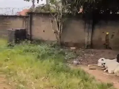1200SQM of a Residential Land in Durumi — Durumi, Abuja