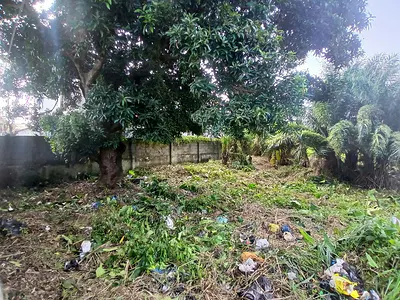 C of O Land 800SQM Gated Dry and in a Very Good Location — Okera, Ajah, Lagos