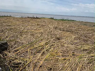 A Waterfront Dry Land — Greenville Estate Badore, Ajah, Lagos