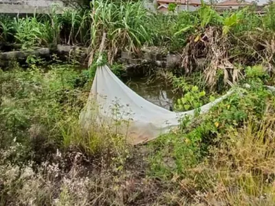 Direct Distress Sale 713 SQM in a Fully Developed Estate — Okera, Ajah, Lagos