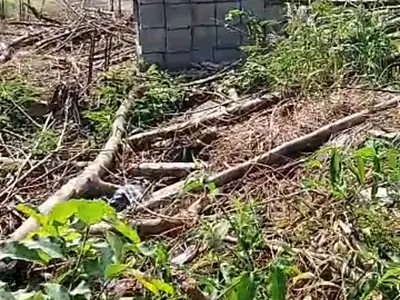 500 SQM of Dry Land — Off Toyin Street, Ikeja, Lagos