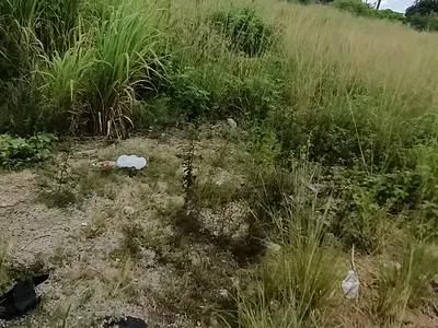 22 Plots of Land Facing Lekki Expressway — Ajah, Lagos