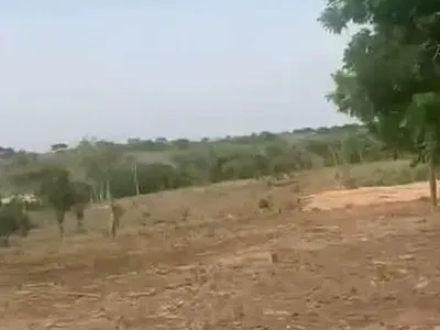 15 Hectares Residential Land — Wasa, Apo, Abuja