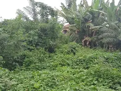 Residential Land — Zone 7 Ota-Efun, Osogbo, Osun