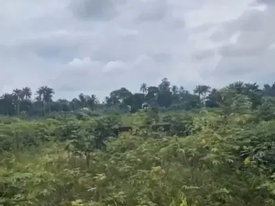2 Plots of Land — Doctors Court, Ikono, Akwa Ibom