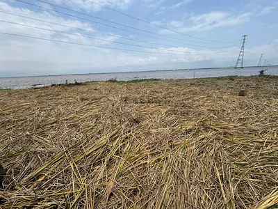 A Waterfront 2398SQM Dry Land — Ajah, Lagos