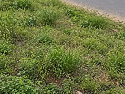 2779SQM of Land Facing a Busy Tarred Road — Suin-Owode Road, Remo North, Ogun