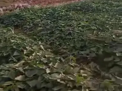 5,108 SQM of Mixed-Use Land — Kabusa, Abuja