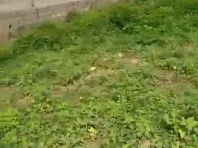 1980 SQM of Residential Land — Kukwaba, Abuja