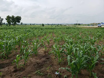 9000 SQM Bareland Facing Expressway — Gwagwalada, Abuja
