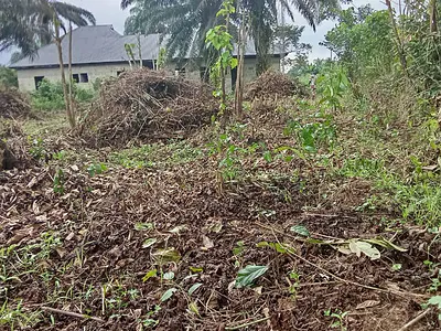 Residential Land, Corner Piece — Eko Atlantic City, Victoria Island (VI), Lagos