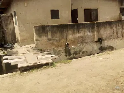 Demolishable Detached Bungalow on Half Plot — Ladylack, Bariga, Shomolu, Lagos